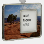 Boom uit de Rode Rakken in het Nationaal Park Cany Verzilverd Omlijst Ornament (Rechts)