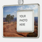 Boom uit de Rode Rakken in het Nationaal Park Cany Verzilverd Omlijst Ornament (Links)