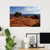 Boom uit rode rotsen I bij Canyonlands Poster (Thuiskantoor)