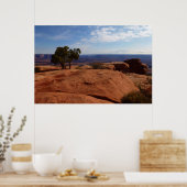 Boom uit rode rotsen I bij Canyonlands Poster (Keuken)