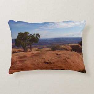 Boom uit rode rotsen I in Canyonlands Accent Kussen