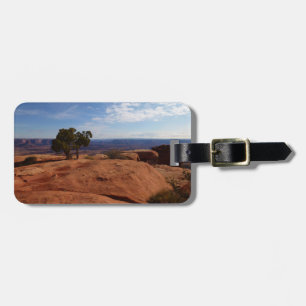 Boom uit rode rotsen I in Canyonlands Bagagelabel