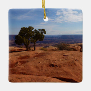 Boom uit rode rotsen I in Canyonlands Keramisch Ornament