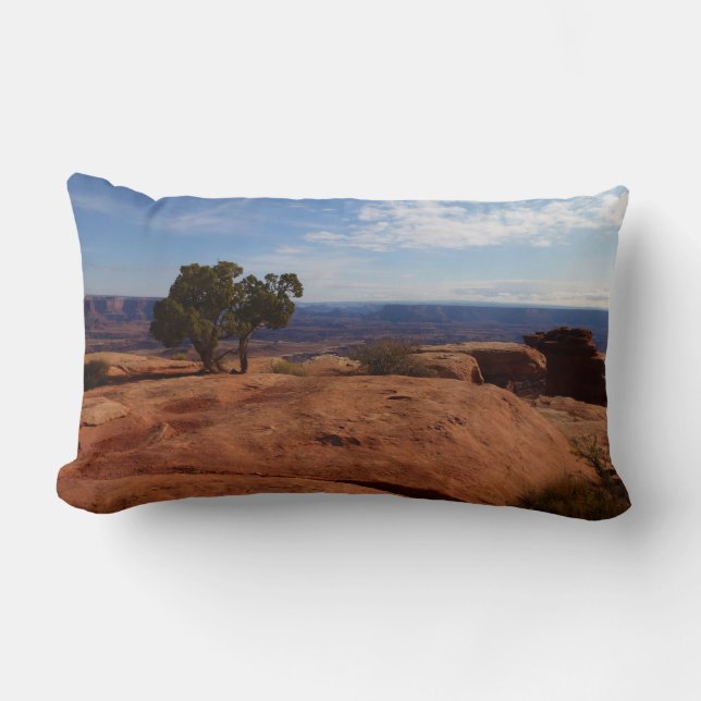 Boom uit rode rotsen I in Canyonlands Kussen (Voorkant)