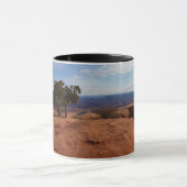 Boom uit rode rotsen I in Canyonlands Mok (Midden)