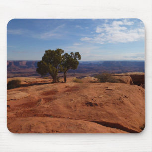 Boom uit rode rotsen I in Canyonlands Muismat