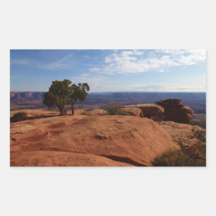 Boom uit rode rotsen I in Canyonlands Rechthoekige Sticker
