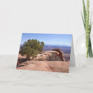 Boom uit rode rotsen II bij Canyonlands Notitiekaartje