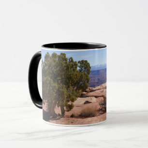 Boom uit rode rotsen II in Canyonlands Mok