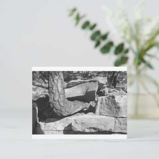 boom uit stenen briefkaart (Staand voorkant)