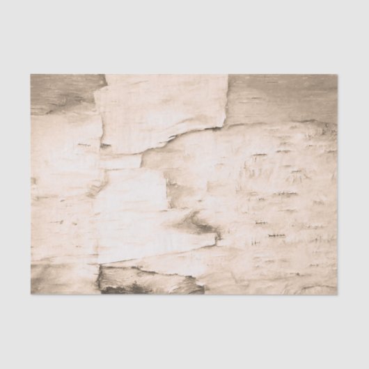  Boom van Birch Bark Sepia Rustic Woodland Tissuepapier (Voorkant)