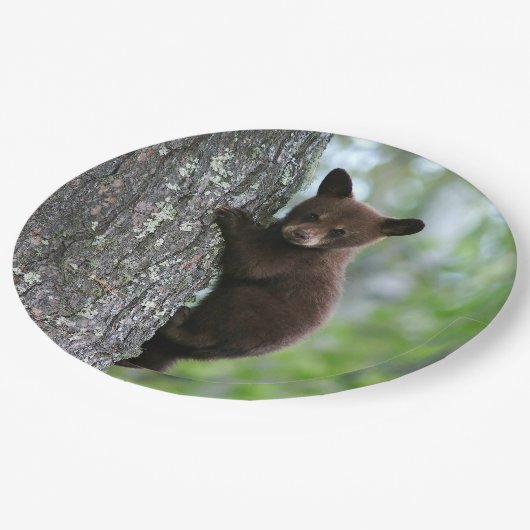 Boom van bruin Beer Papieren Bordje (Gekanteld)