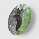 Boom van bruin Beer Ronde Klok (Hoek)