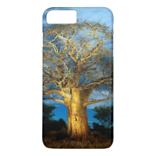 Boom van de Baobab (Adansonia) licht op de maan Case-Mate iPhone Case