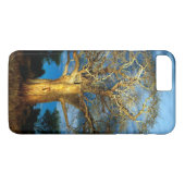 Boom van de Baobab (Adansonia) licht op de maan Case-Mate iPhone Case (Achterkant (Horizontaal))