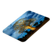 Boom van de Baobab (Adansonia) licht op de maan Magneet (Linkerzijde)