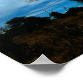 Boom van de Baobab (Adansonia) licht op de maan Poster (Hoek)