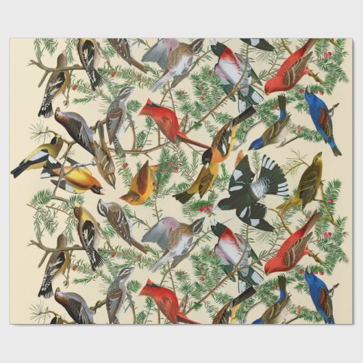 "Boom van de Grosbeak" (vogels) Cadeaupapier (Vlak)