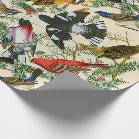 "Boom van de Grosbeak" (vogels) Cadeaupapier (Hoek)