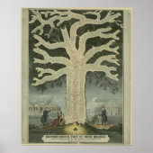 Boom van de Ierse geschiedenis Poster (Voorkant)