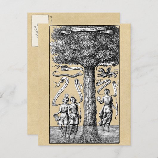 Boom van de Opposites United in Alchemy Briefkaart (Voorkant / Achterkant)