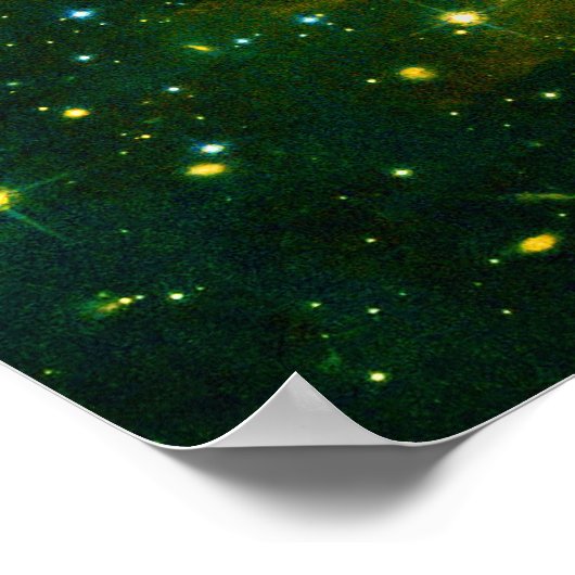 Boom van de Wellness van het Leven Poster (Hoek)