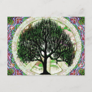 Boom van de welvaart briefkaart
