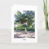 Boom van de Wijsheid-wenskaarten Feestdagen Kaart (Achterkant)