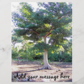 Boom van de Wisdom-flyer Flyer (Achterkant)