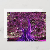 Boom van het hart van het leven briefkaart (Voorkant / Achterkant)