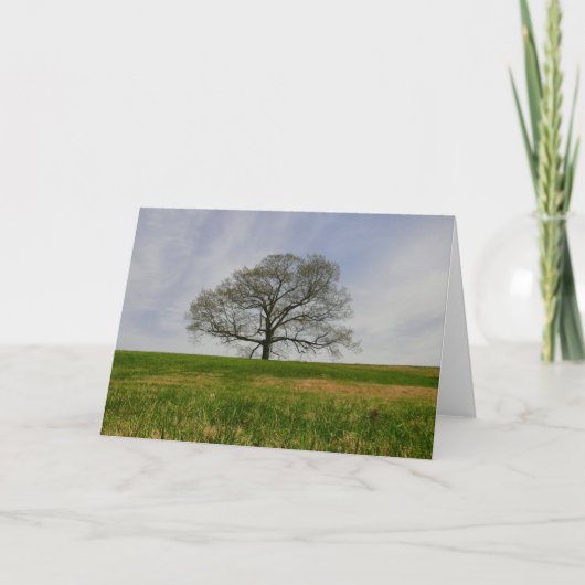 Boom van het levensKaart Kaart (Voorkant)