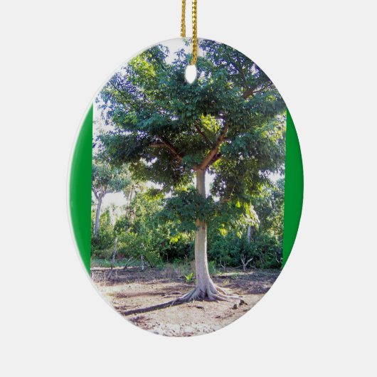 Boom van het ornament rond de Wisdom (Rechts)