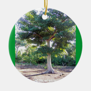 Boom van het ornament rond de Wisdom
