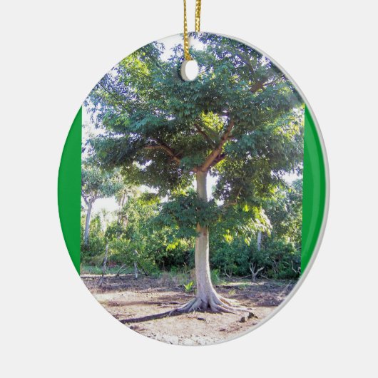 Boom van het ornament rond de Wisdom (Links)