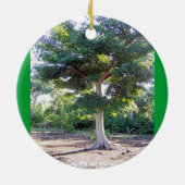 Boom van het ornament rond de Wisdom (Achterkant)