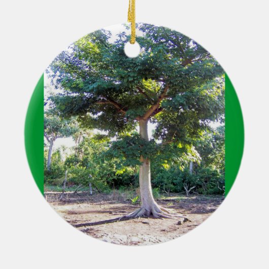 Boom van het ornament rond de Wisdom (Achterkant)