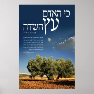 Boom van het veld poster