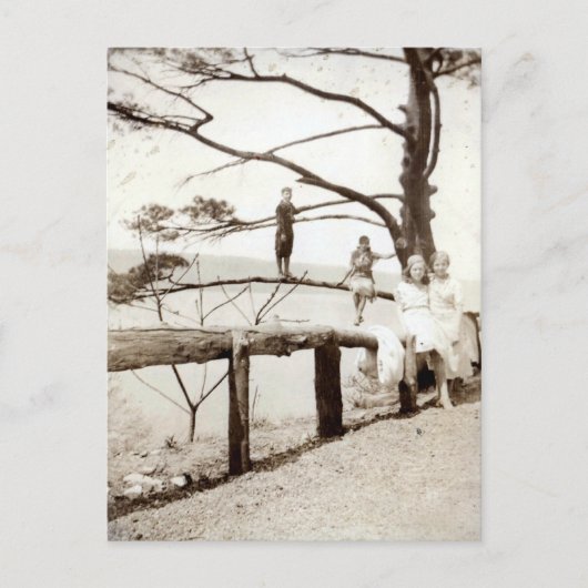 Boom van het verleden briefkaart (Voorkant)