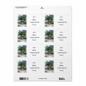 Boom van het Wisdom-adresetiket Etiket (Full Sheet)