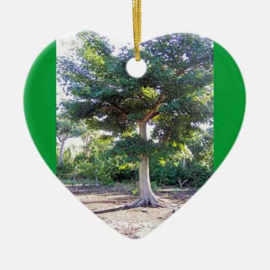 Boom van het Wisdom-hart ornament (Voorkant)