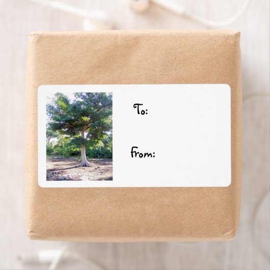 Boom van het Wisdom-kerstlabel Etiket (Insitu)