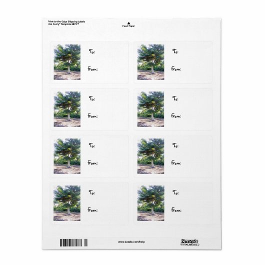 Boom van het Wisdom-kerstlabel Etiket (Full Sheet)