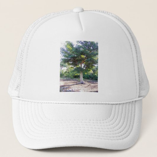 Boom van het Wisdom-pet Trucker Pet (Voorkant)