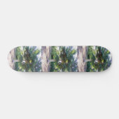 Boom van het Wisdom-skateboard Skateboard (Horizontaal)