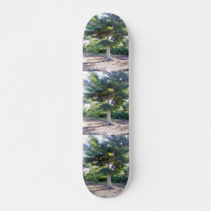 Boom van het Wisdom-skateboard Skateboard