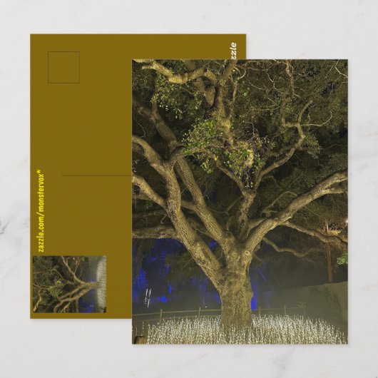 Boom van Licht Ansichtkaart Briefkaart (Voorkant / Achterkant)