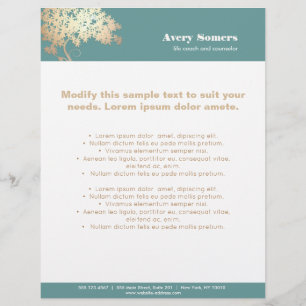 Boom van Life Logo Health and Wellness Flyer