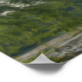 Boom van Marsh Fotoolie schilderen Poster (Hoek)