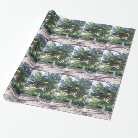 Boom van papier voor onmiddellijke verpakking (Uitgerold)
