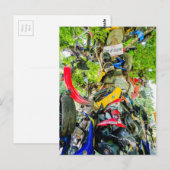 Boom van schaamte staart van de draak briefkaart (Voorkant / Achterkant)